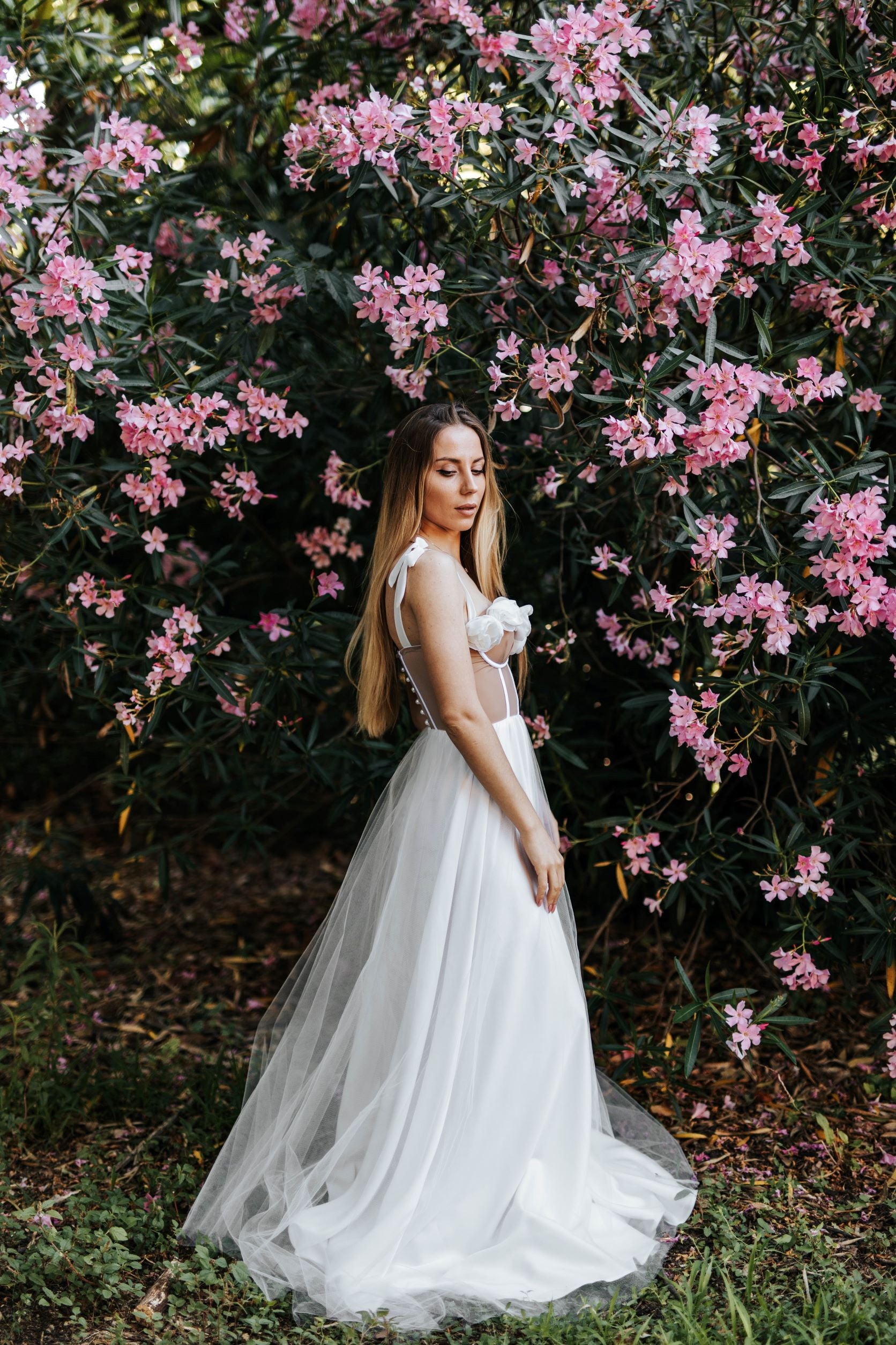 Vanessa